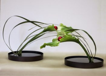 b372b1bfa75cce9917dfee6d74d9d2c5