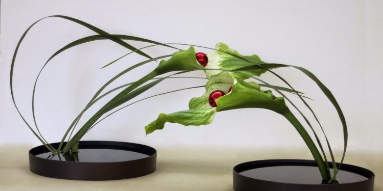 b372b1bfa75cce9917dfee6d74d9d2c5