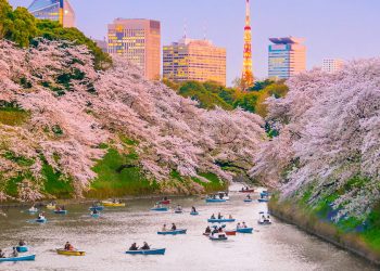 Japonya'da Gezilecek Yerler 1
