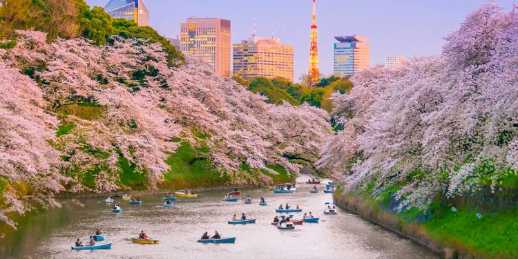Japonya'da Gezilecek Yerler 1